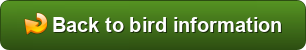button_back-to-bird-information