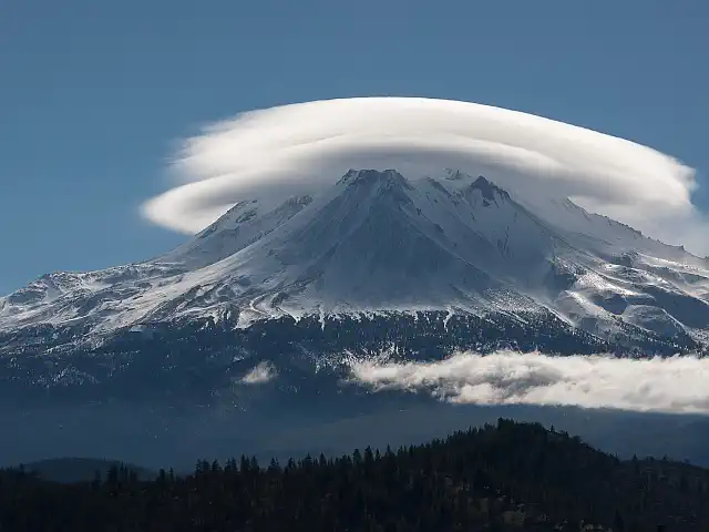 lenticularis